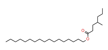 Heptadecyl 4-methylheptanoate